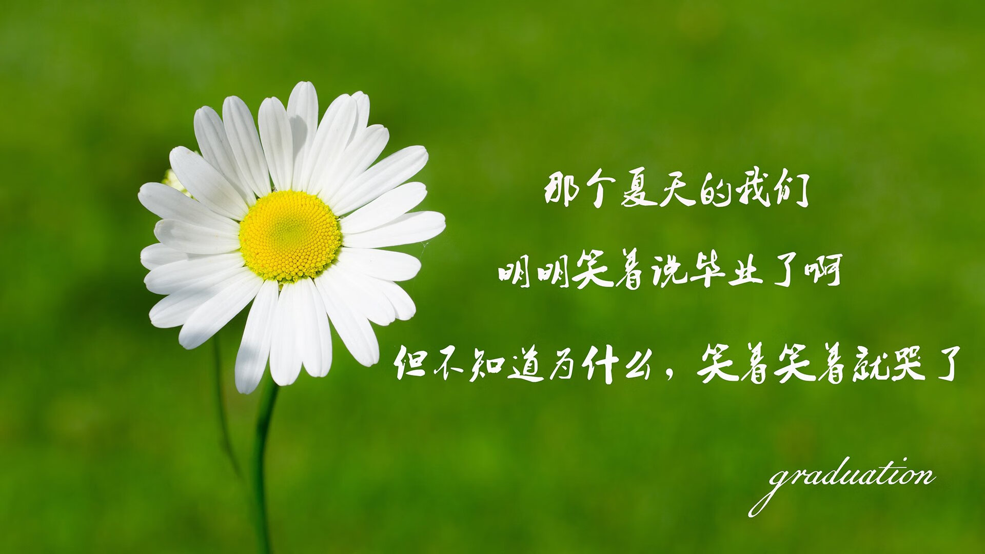 im电竞官网登录-JDG战队展开跨赛区战略研讨会，jdg战队是京东的吗