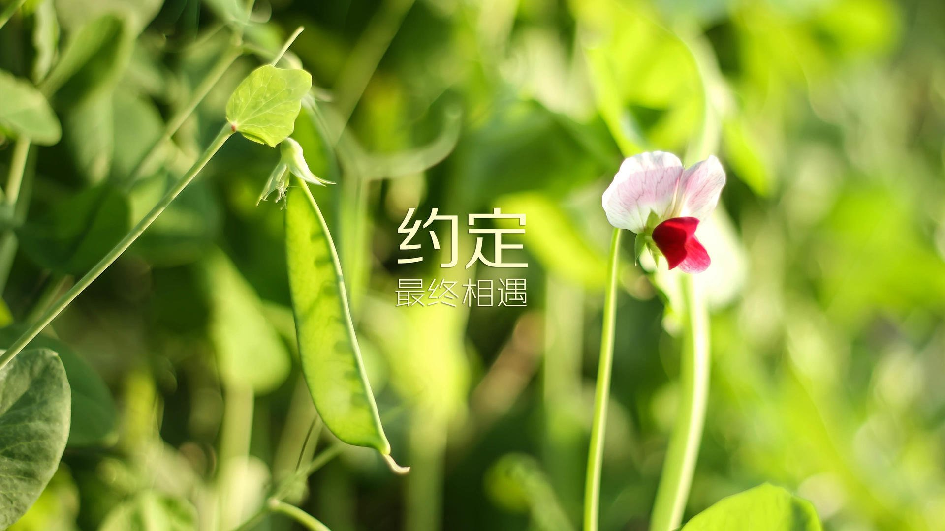 电竞城市打造智能电竞产业园区，电竞产业园是干啥的
