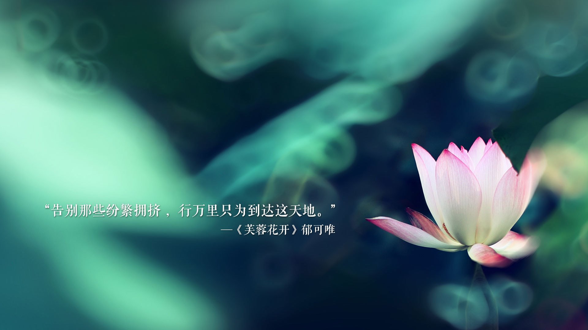 法甲新星闪耀：未来足球新领袖！，法甲新赛季宣传片